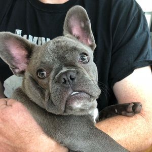 Meet your Posher, Erin